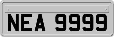 NEA9999