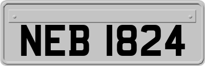 NEB1824