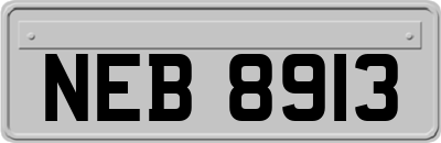 NEB8913