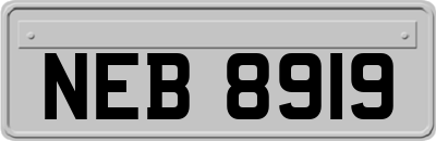 NEB8919