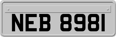 NEB8981