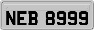 NEB8999