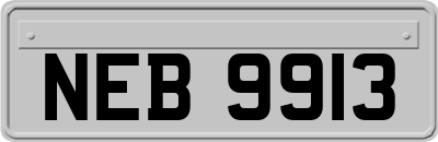 NEB9913