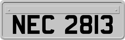 NEC2813