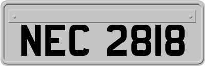 NEC2818