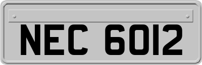 NEC6012