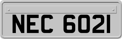 NEC6021