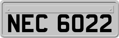 NEC6022