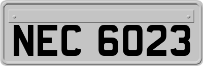 NEC6023