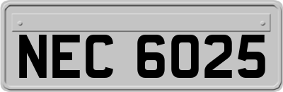 NEC6025