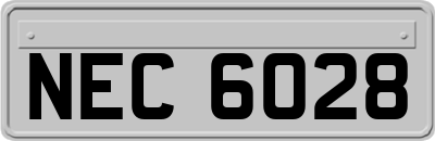 NEC6028