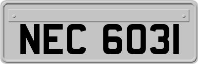 NEC6031