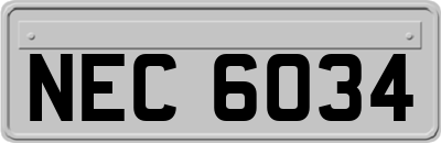 NEC6034