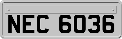 NEC6036