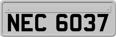 NEC6037