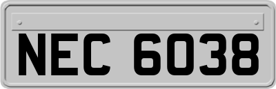 NEC6038