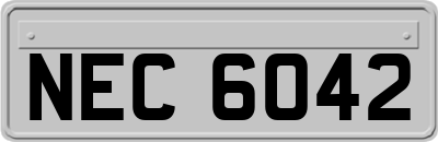 NEC6042