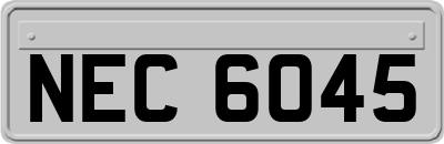 NEC6045