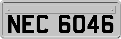 NEC6046