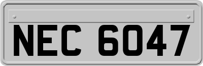 NEC6047