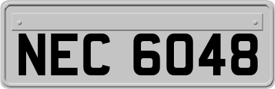 NEC6048