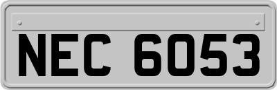 NEC6053