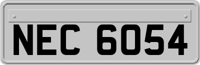 NEC6054