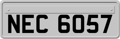 NEC6057