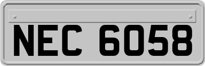 NEC6058