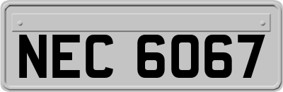 NEC6067