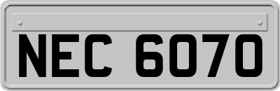 NEC6070