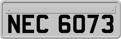 NEC6073