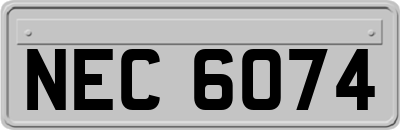 NEC6074