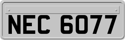 NEC6077