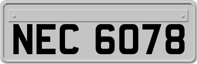 NEC6078