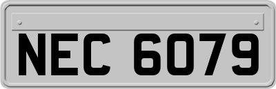 NEC6079