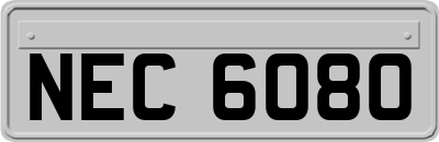 NEC6080