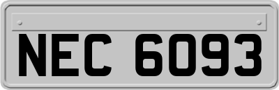 NEC6093