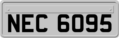 NEC6095