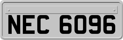 NEC6096