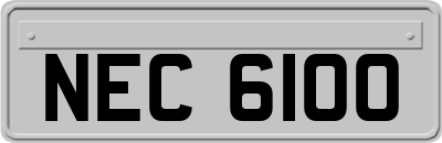 NEC6100