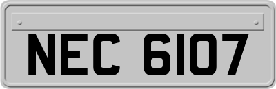 NEC6107