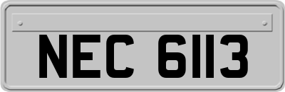 NEC6113