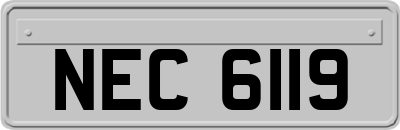 NEC6119