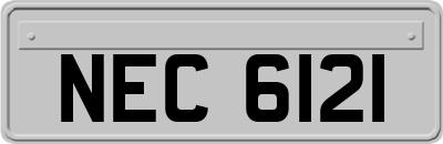 NEC6121