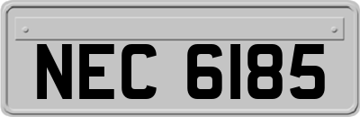 NEC6185