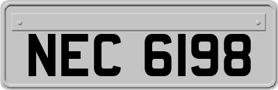 NEC6198