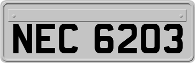 NEC6203