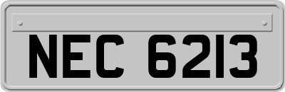 NEC6213