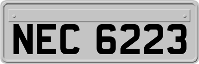 NEC6223